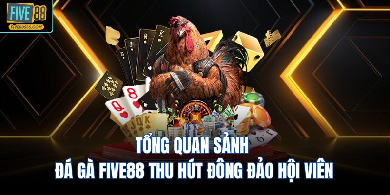 Tổng quan sảnh đá gà FIVE88 thu hút đông đảo hội viên